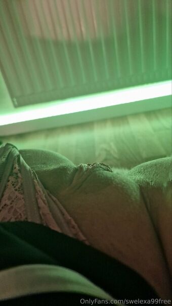 swelexa99free Nude Leaks OnlyFans Photo 31