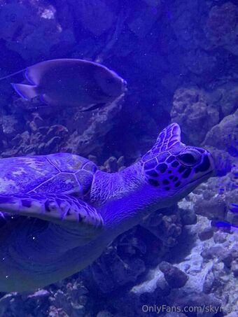 Skybon Nude Leaks OnlyFans Photo 19