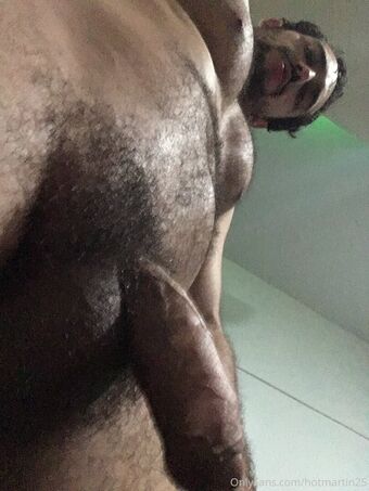 hotmartin25 Nude Leaks OnlyFans Photo 12
