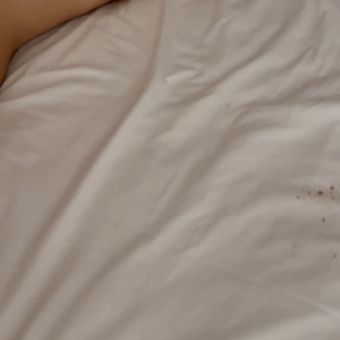 Tantot_frenchie_x_porn Nude Leaks OnlyFans Photo 1