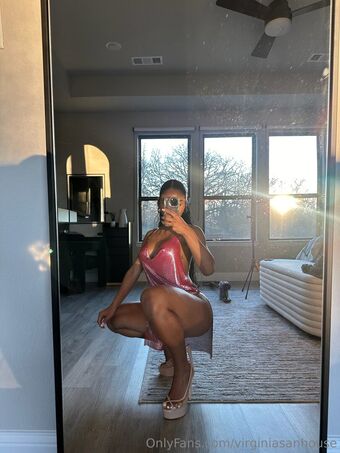 Virginia Sanhouse Nude Leaks OnlyFans Photo 1