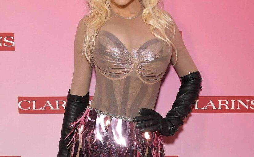 Christina Aguilera Looks Hot at the CLARINS Event (18 Photos)