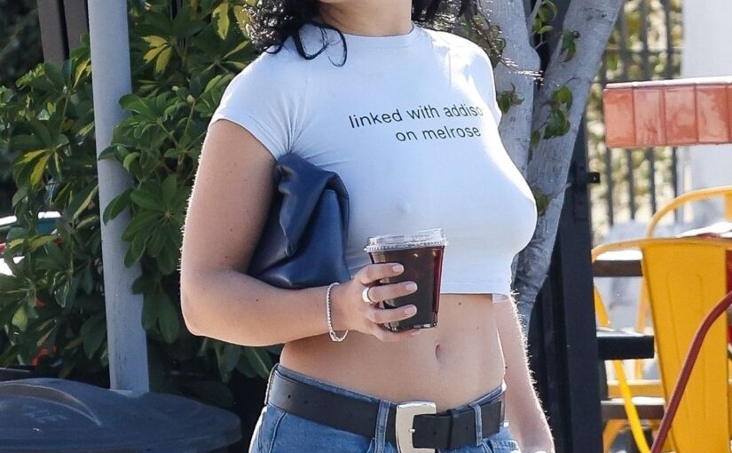 Charli XCX Displays Her Sexy Boobs in Los Feliz (30 Photos)