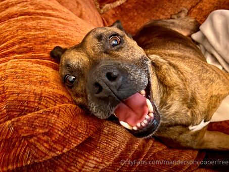 mandersoncooperfree Nude Leaks OnlyFans Photo 11