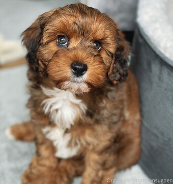 Rhian Sugden Nude Leaks OnlyFans Photo 17