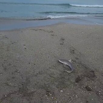 LivStixs Nude Leaks OnlyFans Photo 49