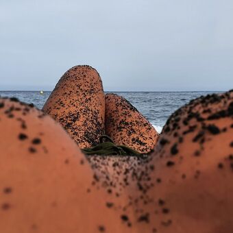 nashyra Nude Leaks OnlyFans  – Leaked Models