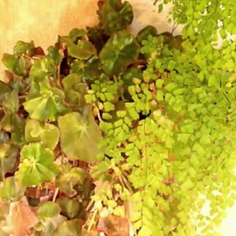 Petra Verkaik Nude Leaks OnlyFans Photo 38