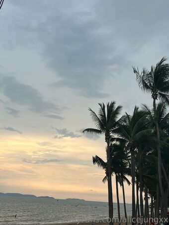 alicejungxx Nude Leaks OnlyFans Photo 18