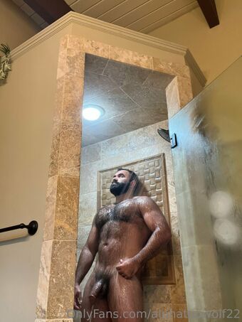 alphatopwolf22 Nude Leaks OnlyFans Photo 1