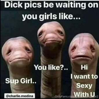 alymoonfree Nude Leaks OnlyFans Photo 11