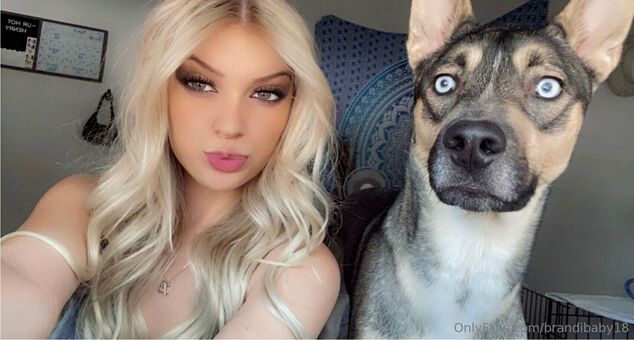 brandibaby18 Nude Leaks OnlyFans Photo 17