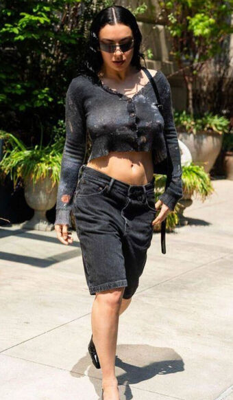 Charli-xcx Nude Leaks OnlyFans Photo 161