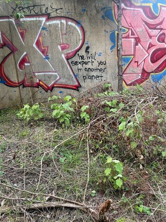 kinklifecouple Nude Leaks OnlyFans Photo 14