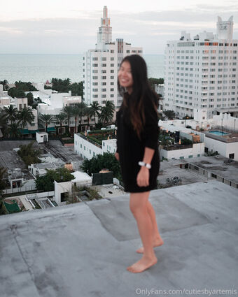 cutiesbyartemis Nude Leaks OnlyFans Photo 14