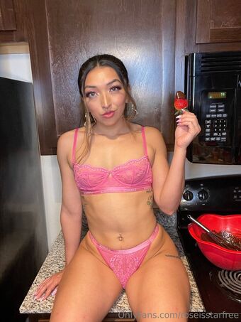 roseisstarfree Nude Leaks OnlyFans Photo 13