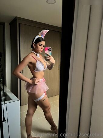 pk2secretxx Nude Leaks OnlyFans Photo 10