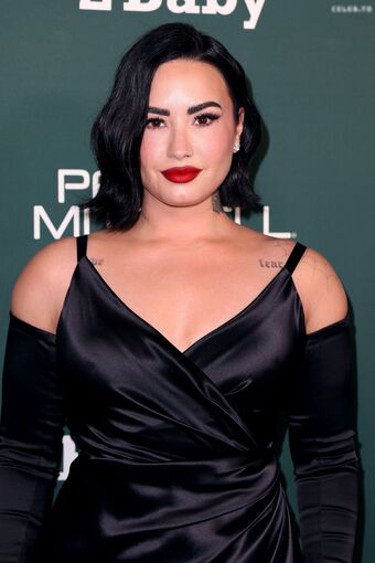 Demi Lovato Nude Leaks OnlyFans Photo 312