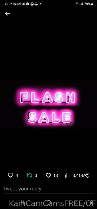 kamcamcamsfree Nude Leaks OnlyFans Photo 13