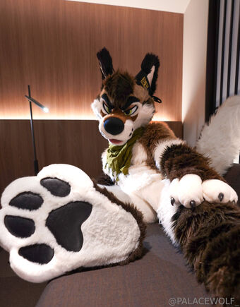 palacewolf Nude Leaks OnlyFans Photo 35