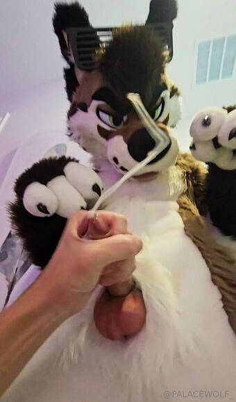 palacewolf Nude Leaks OnlyFans Photo 32