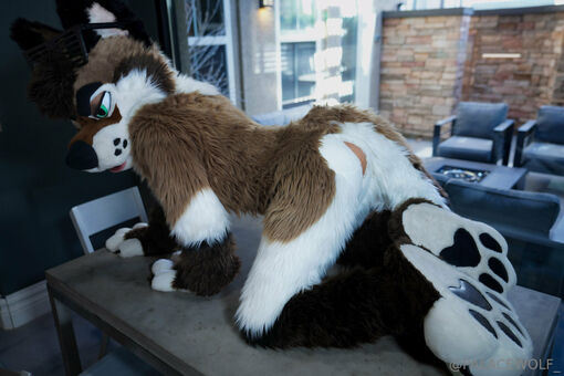 palacewolf Nude Leaks OnlyFans Photo 30