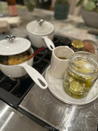 Whitney Cummings Nude Leaks OnlyFans Photo 58