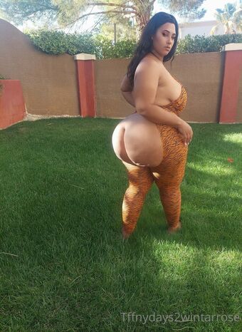 tffnydays2wintarrose Nude Leaks OnlyFans Photo 24