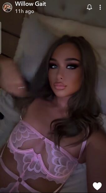 Willowgait_X Nude Leaks OnlyFans Photo 2