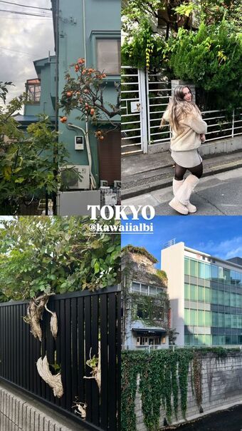 albinaofficial Nude Leaks OnlyFans Photo 33