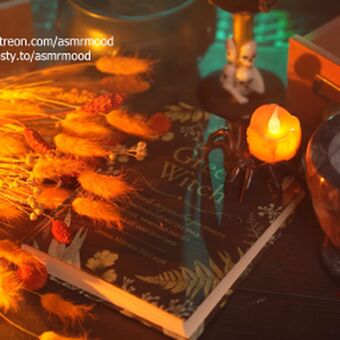 ASMR Mood Nude Leaks OnlyFans Photo 72