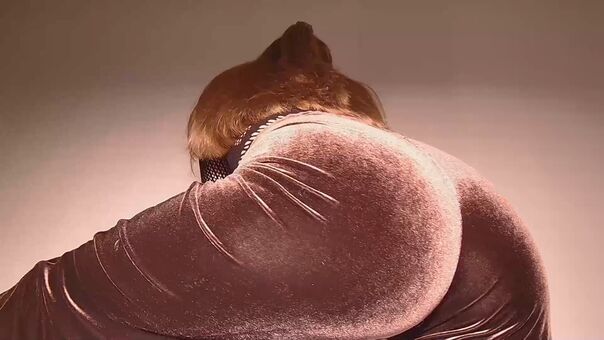 Bounceonyou Nude Leaks OnlyFans Photo 17