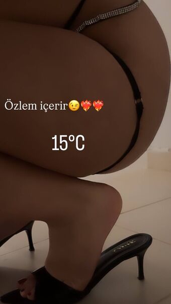 Elif Karaarslan Nude Leaks OnlyFans Photo 277