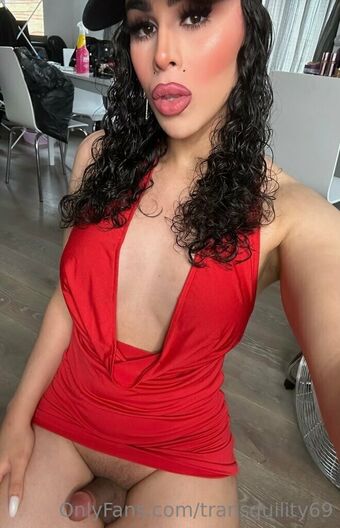 transquility69 Nude Leaks OnlyFans Photo 18