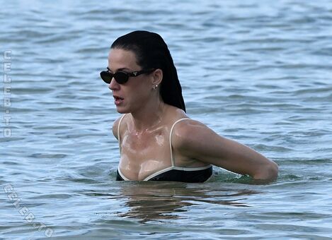 Katy Perry Nude Leaks OnlyFans Photo 321
