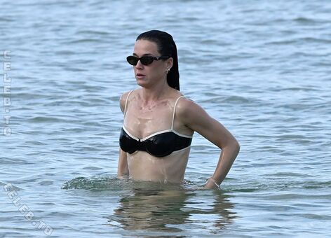 Katy Perry Nude Leaks OnlyFans Photo 320