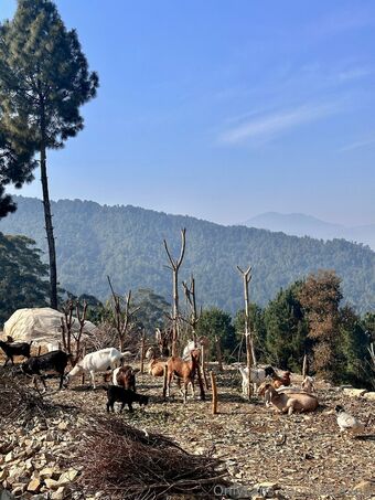 liztravels Nude Leaks OnlyFans Photo 36