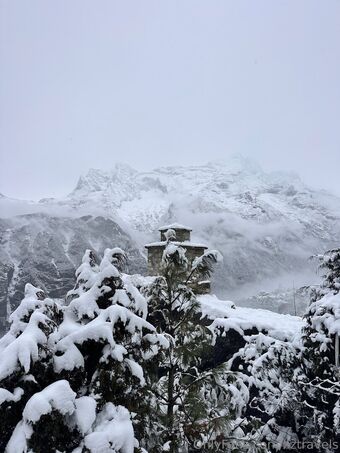 liztravels Nude Leaks OnlyFans Photo 40