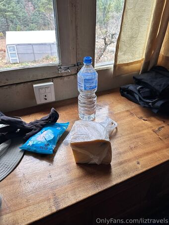 liztravels Nude Leaks OnlyFans Photo 39