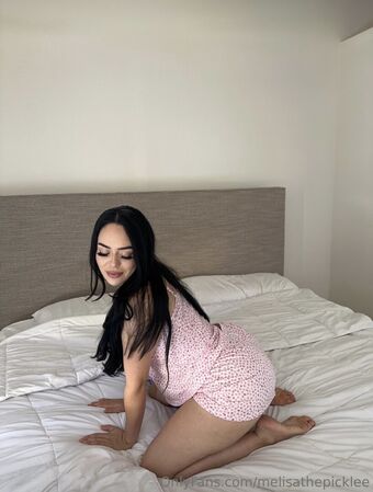melisathepicklee Nude Leaks OnlyFans Photo 17
