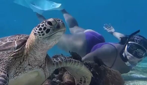 Moon Seo-byul Nude Leaks OnlyFans Photo 86