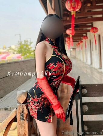 npxvip Nude Leaks OnlyFans Photo 146