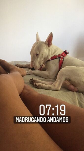 Sofi Pessina Nude Leaks OnlyFans Photo 2