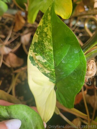 u213919435 Nude Leaks OnlyFans Photo 35