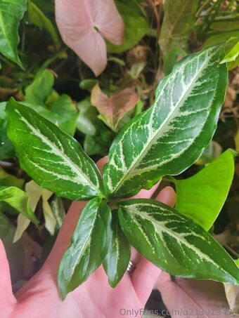 u213919435 Nude Leaks OnlyFans Photo 38