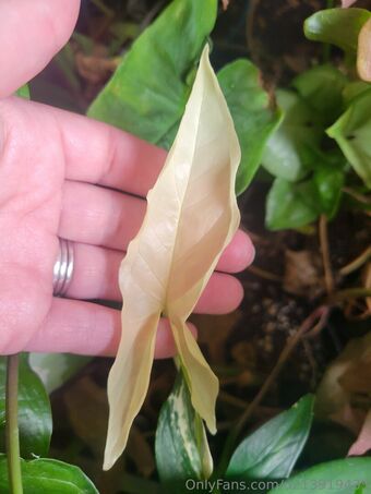 u213919435 Nude Leaks OnlyFans Photo 33