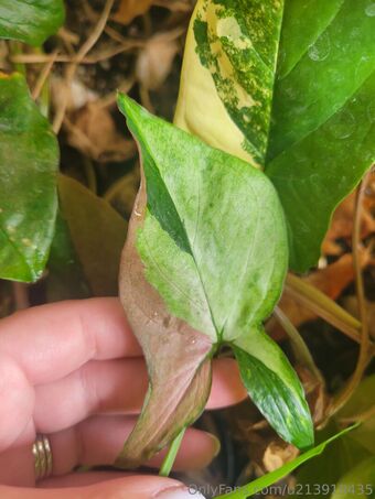 u213919435 Nude Leaks OnlyFans Photo 34