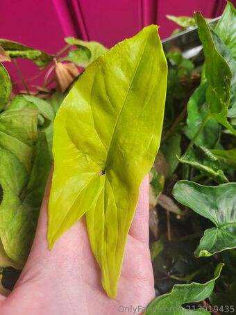 u213919435 Nude Leaks OnlyFans Photo 39