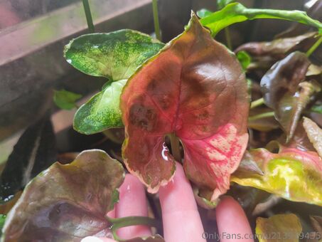 u213919435 Nude Leaks OnlyFans Photo 37