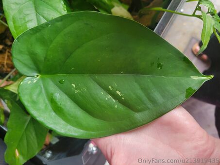 u213919435 Nude Leaks OnlyFans Photo 36